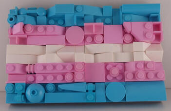 Trans flag